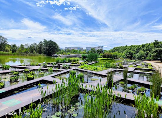 france/aquitaine/attraction/jardin-botanique-de-bordeaux