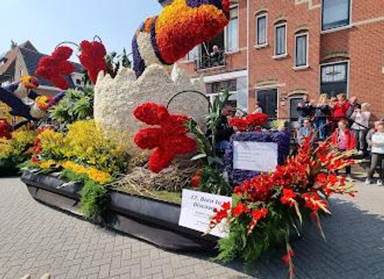 netherlands/rotterdam/attraction/vvv-lisse