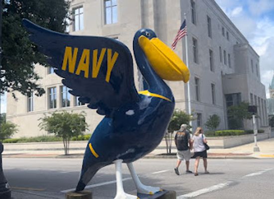 florida/pensacola/attraction/usmc-pelican