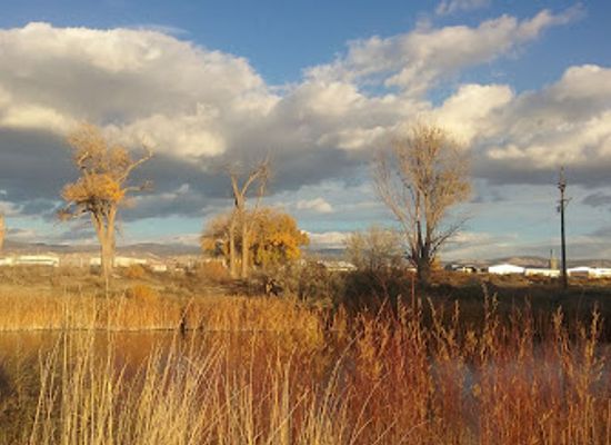 colorado/montrose/attraction/taviwach-park