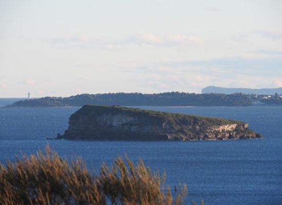 australia/central-coast/attraction/bird-island-nature-reserve