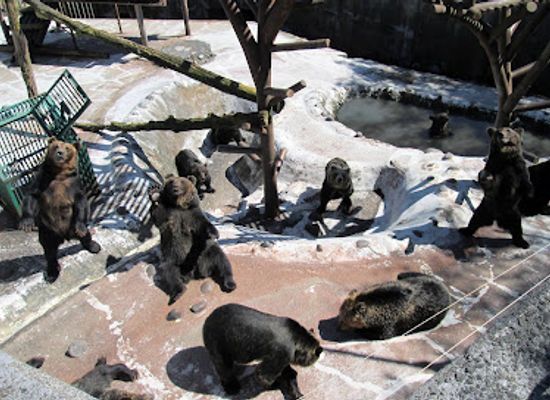 japan/hokkaido/attraction/noboribetsu-bear-park