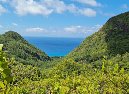 seychelles/ile-therese/attraction/salazie-trail