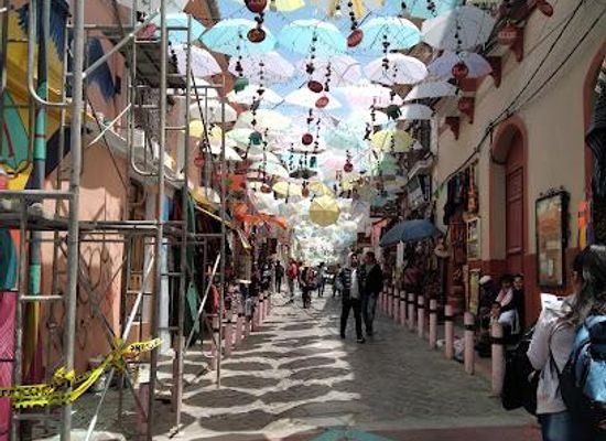 bolivia/la-paz/attraction/coca-museum