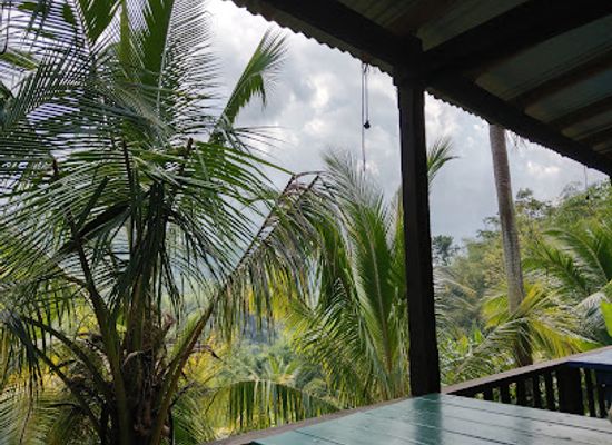 jamaica/port-antonio-area/attraction/restoration-village-farm