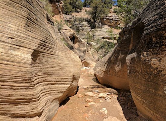 utah/canyonlands/attraction/willis-creek-slot-canyon-trailhead