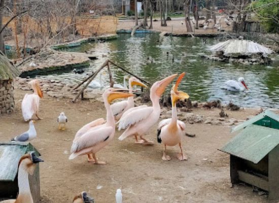 bulgaria/varna-region/attraction/varna-zoo