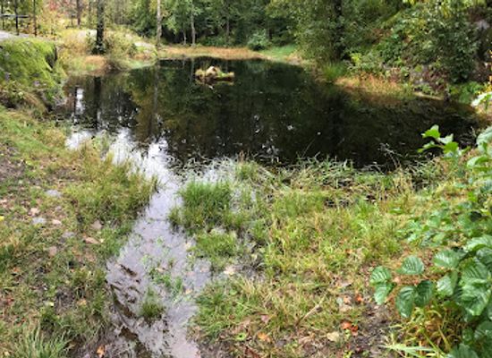 norway/vestfold/attraction/svarttjern