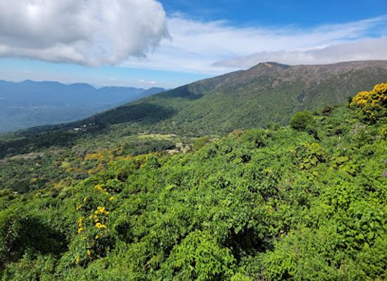 el-salvador/central-valley/attraction/parque-nacional-cerro-verde