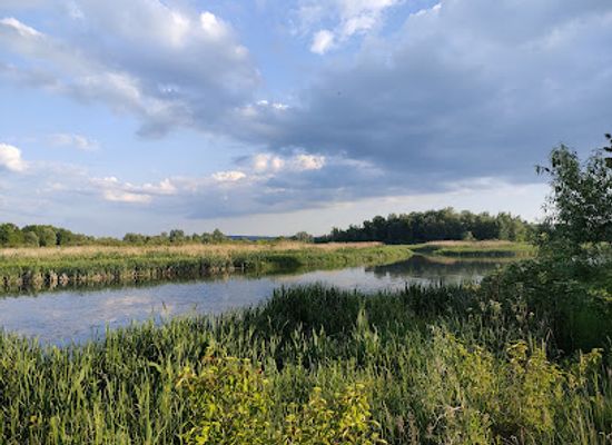 poland/rzeszow/attraction/nature-reserve-lisia-gora