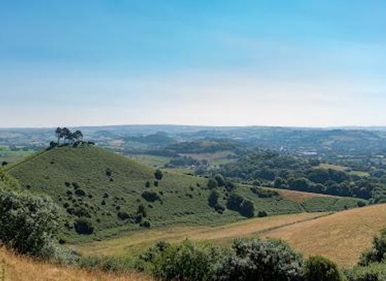 united-kingdom/dorset/attraction/symondsbury-estate