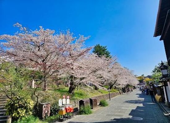japan/kinki-kansai/attraction/kodaiji-park