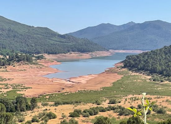 spain/cazorla-natural-park/attraction/parque-cinegetico-collado-del-almendral