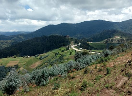 rwanda/karongi/attraction/nyungwe-forest-national-park