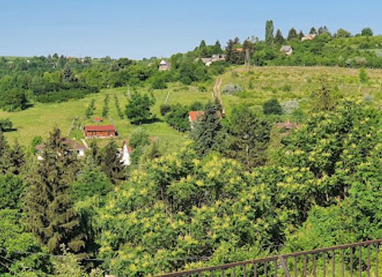 hungary/eger/attraction/eger-szepasszonyvolgy-utca-outlook