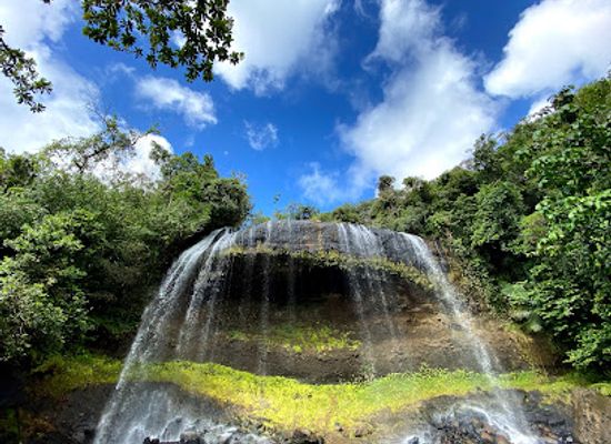 palau/aimeliik/attraction/ngardmau-waterfalls