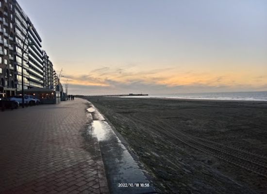 belgium/blankenberge/attraction/zeedijk-digue-de-mer