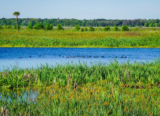 florida/southwest-florida/attraction/sweetwater-wetlands-park