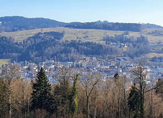 switzerland/st-gallen/attraction/wildpark-peter-und-paul
