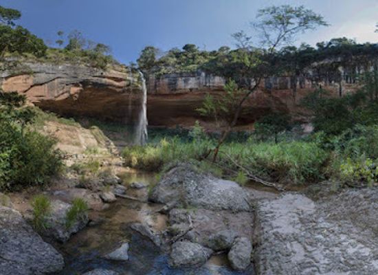 bolivia/amboro-national-park/attraction/tall-mirror