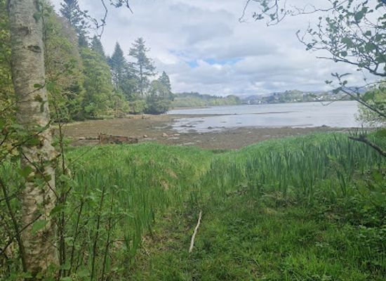 ireland/county-donegal/attraction/rossylongan-forest