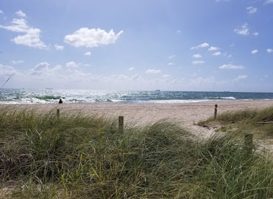 florida/fort-lauderdale-beach/attraction/fort-lauderdale-beaches