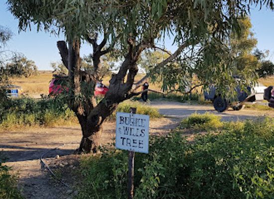 australia/outback/attraction/burke-and-wills-tree