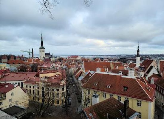 estonia/rapla/attraction/kohtuotsa-viewing-platform