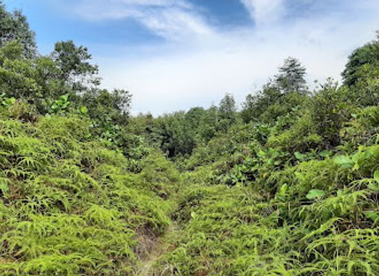 malaysia/johor-bahru/nusajaya/attraction/tapak-warisan-bangunan-sejarah-sikijang-nusajaya