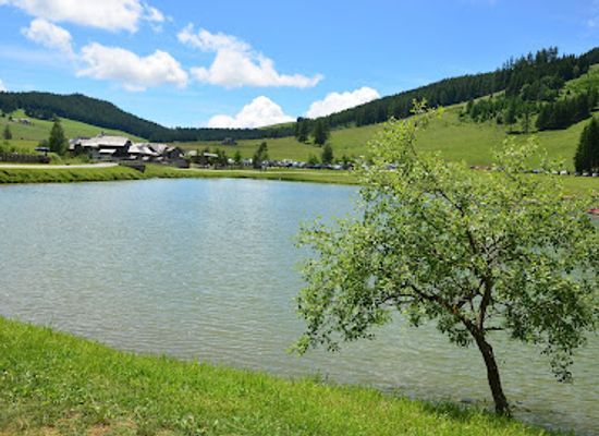 austria/murztal/attraction/teichalmmoor