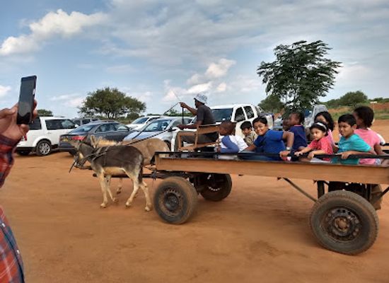 botswana/kweneng-district/attraction/lily-s-petting-farm