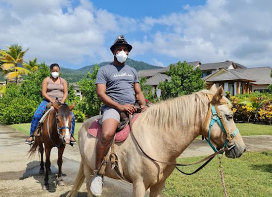 dominica/saint-david/attraction/rainforest-riding
