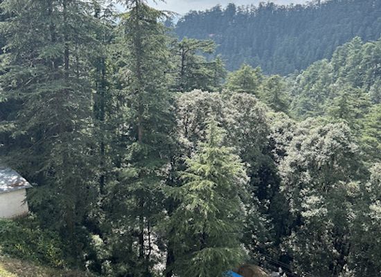 india/shimla/attraction/navbhahar-chowk