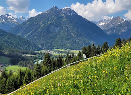 austria/lech-valley/attraction/sommerrodelbahn-wally-blitz