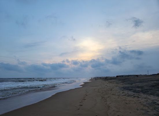 india/puri/attraction/elixir-beach