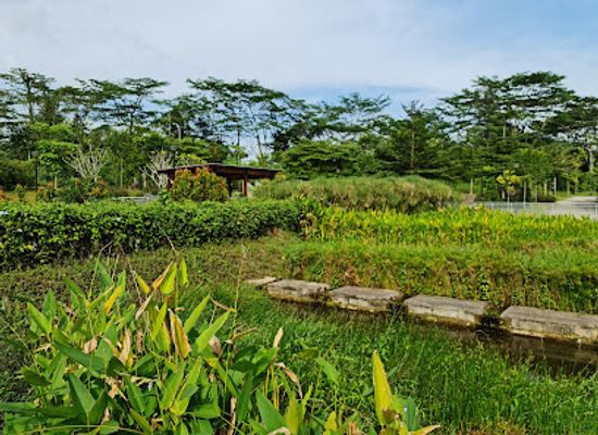 singapore/pulau-semakau/attraction/rail-corridor-bukit-timah
