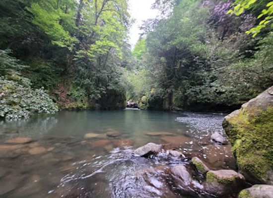 georgia/rabun-bald/attraction/mtirala-national-park