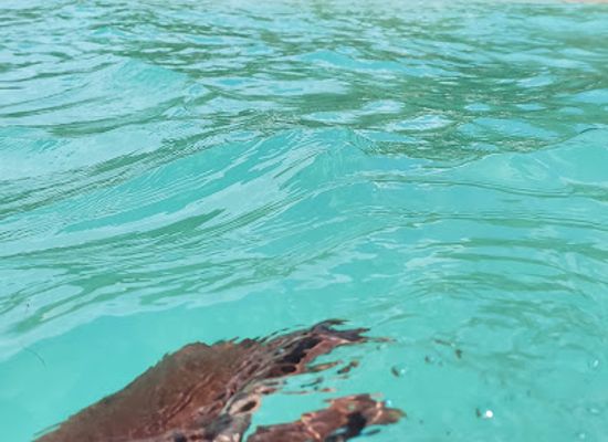 jamaica/negril-area/attraction/longbay-beach-negril