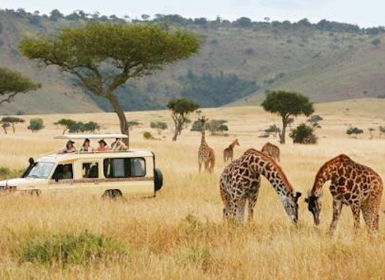 kenya/mombasa/attraction/african-memorable-safaris