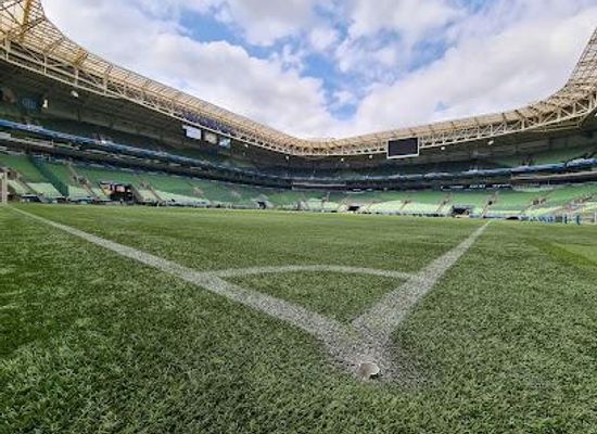 brazil/sao-paulo/attraction/allianz-parque