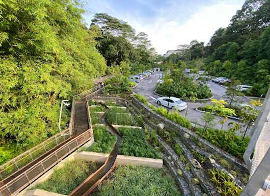 singapore/holland-village/attraction/rifle-range-nature-park