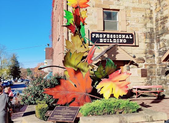 indiana/brown-county-state-park/attraction/little-nashville