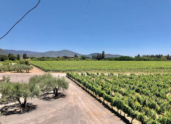 chile/colchagua-valley/attraction/vina-maquis