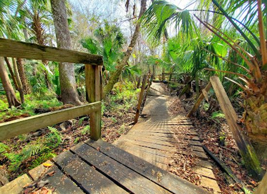 florida/nature-coast/attraction/spring-hammock-preserve
