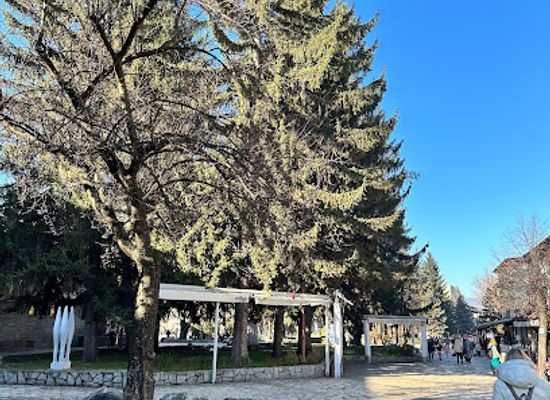bulgaria/bansko/attraction/nikola-vaptsarov-monument