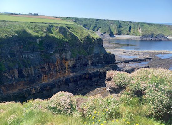 ireland/county-kerry/attraction/bromore-cliffs
