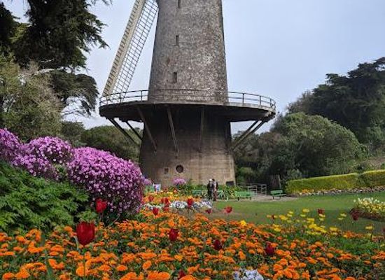 california/castro-valley/attraction/queen-wilhelmina-garden