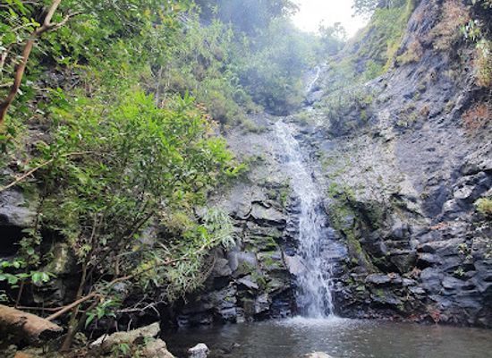 mauritius/chamarel/attraction/joce-waterfall