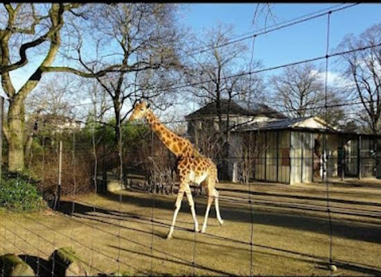 switzerland/basel/attraction/zoo-basel