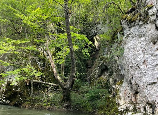 romania/caras-severin/attraction/podul-natural